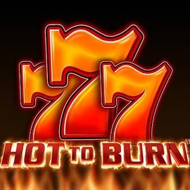 Hot To Burn by Pragmatic Play, showcased at betsrepublic.de – game logo